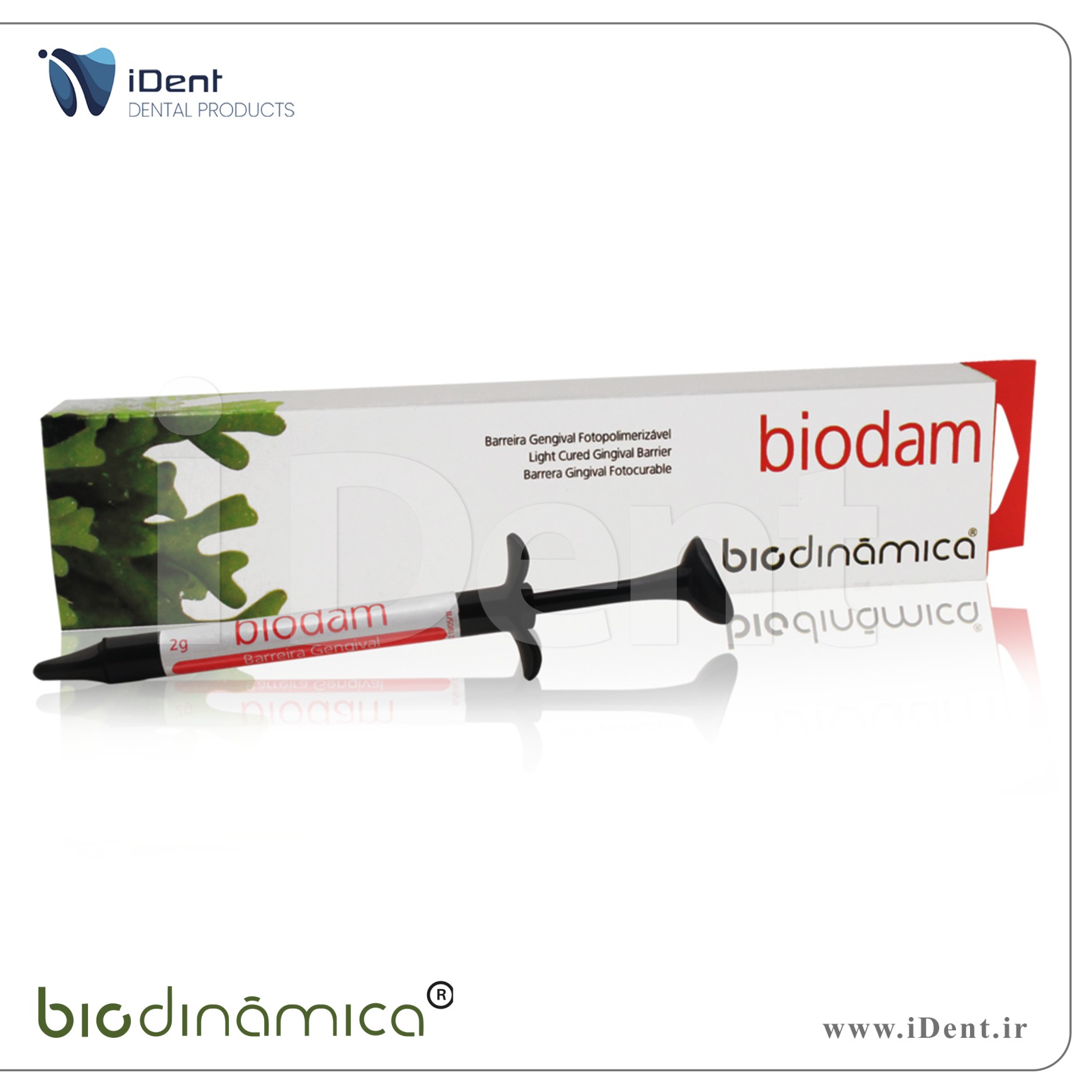 ژل محافظ لثه - Biodinamica