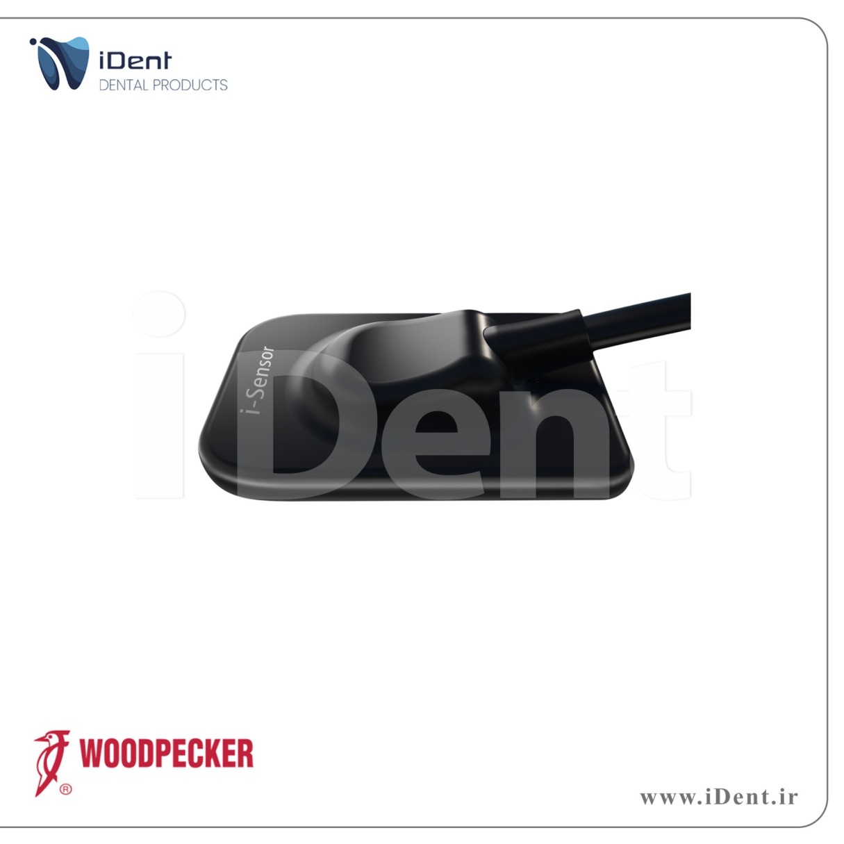 سنسور RVG i-Sensor وودپکر - Woodpecker