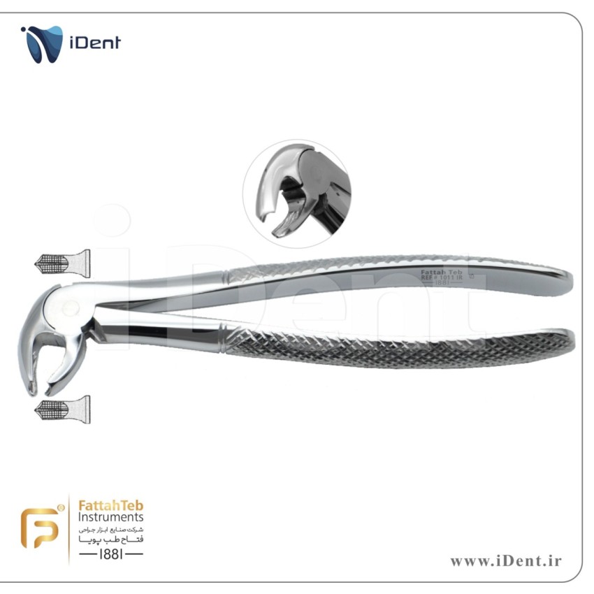 فورسپس مولرپايين- فتاح طب- Fattah Teb -1011