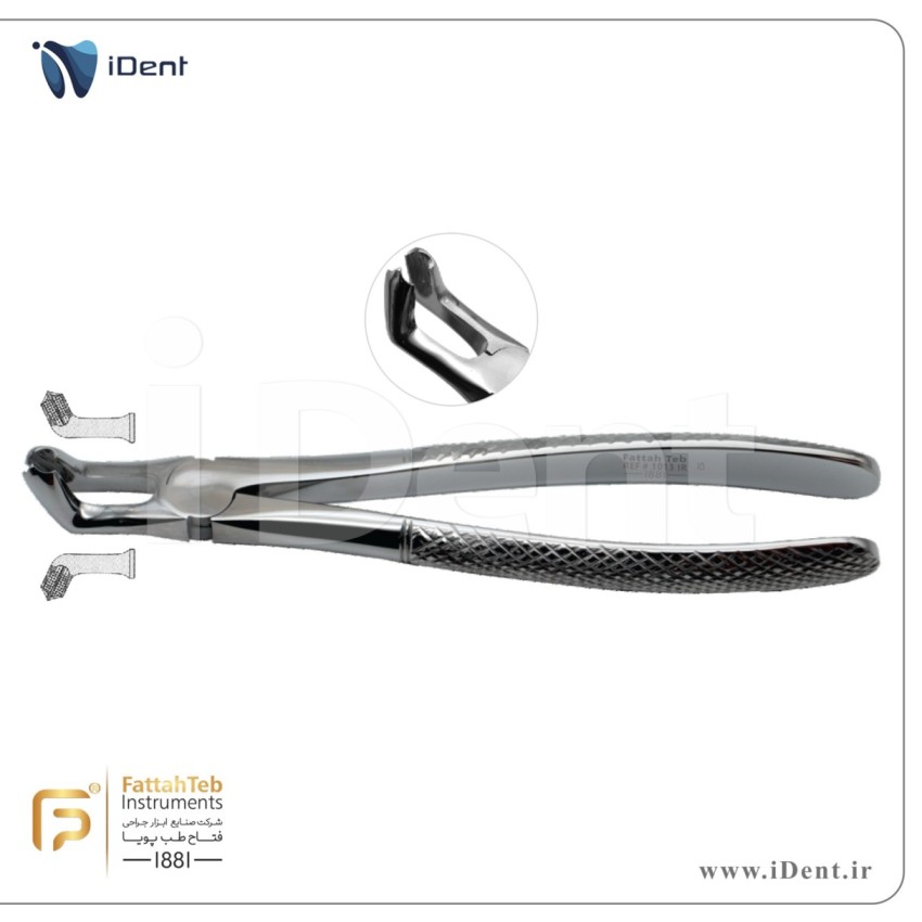 فورسپس عقل پایین -فتاح طب- Fattah Teb -1013
