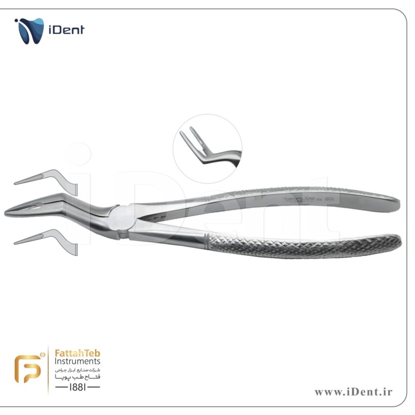 فورسپس ریشه کش بالا بلند -فتاح طب- Fattah Teb -1019