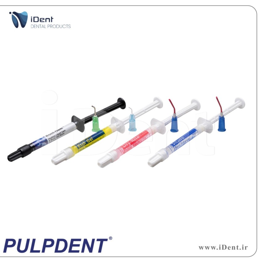 کیت ترمیم پرسلن پالپ دنت - PULPDENT